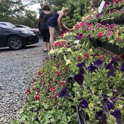 Ramblewood Garden Center & Craft Shop