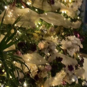 Catch - Christmas tree - Sushi Bars Near Me - West Hollywood, California