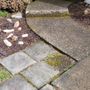 Extra Hand Lawn Care