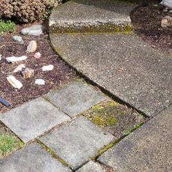 Extra Hand Lawn Care