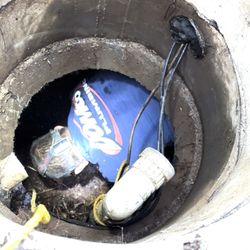 Domco Plumbing - Eric cutting rootball inside pump tank