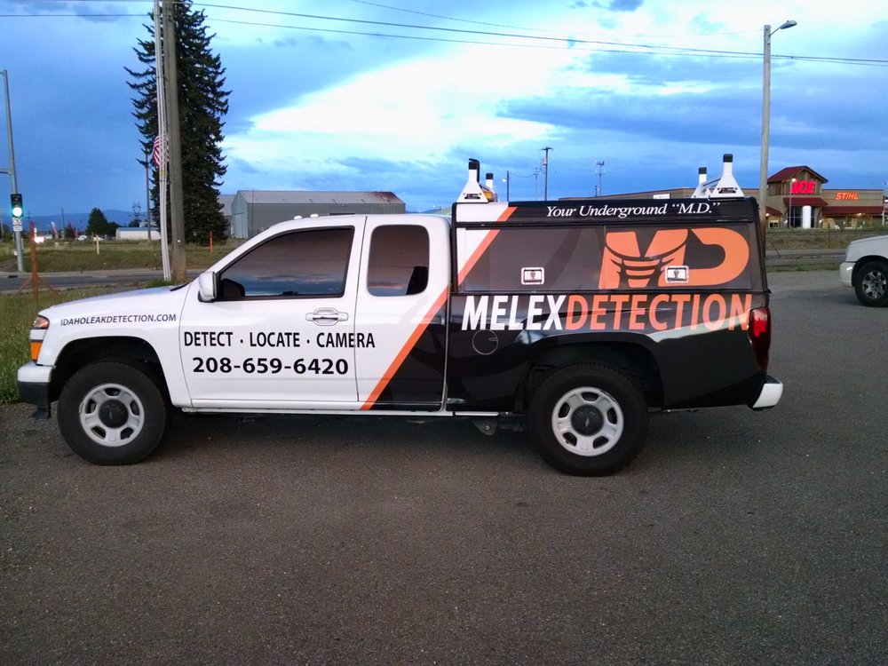 Slide of Melex Detection