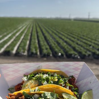 Fredo’s Vegan Tacos - Amazing vegan tacos! - Tacos Near Me - Castroville, California Fredo’s Vegan Tacos - Amazing vegan tacos! - Tacos Near Me - Castroville, California