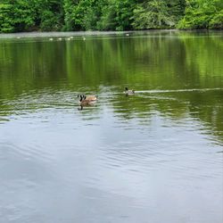 T Bayles Minuse Mill Pond and Park - The pond before the storm.