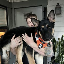 Camp Run-A-Mutt San Marcos - Our dog after grooming!