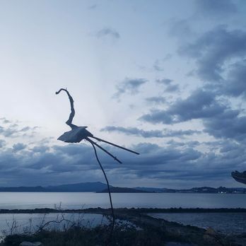 Albany Bulb - Landmarks & Historical Buildings Near Me - Albany, California