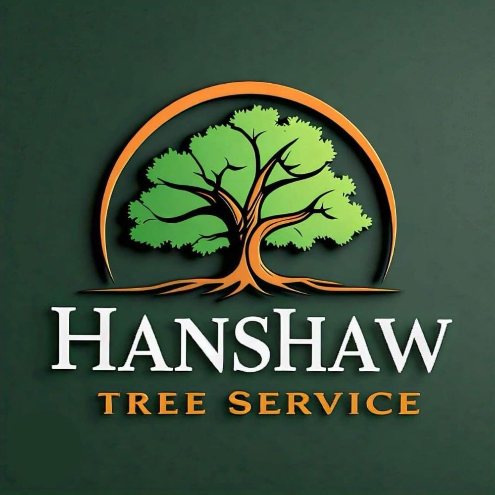 Hanshaw Tree Services - tree service in Fola, WV