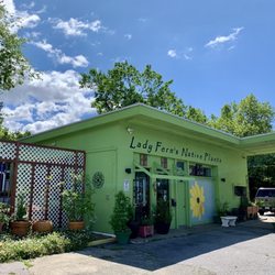Lady Fern’s Native Plants