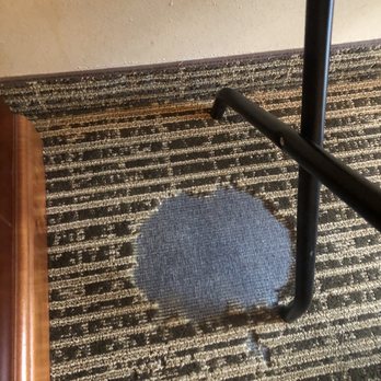 Quality Inn - Spot on floor - Hotels Near Me - Carrollton, Georgia Quality Inn - Spot on floor - Hotels Near Me - Carrollton, Georgia