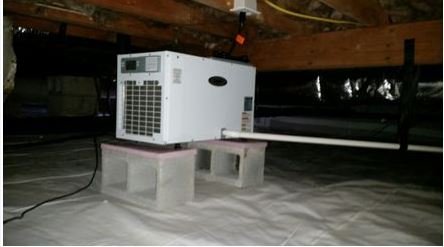 Moisture and Mold Solutions - mold inspector in Chester, VA