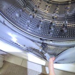 Zhen's Appliance Service - Replaced boot/washer seal
