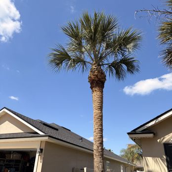 Finishers Tree Service - Tree Services Near Me - Jacksonville, Florida Finishers Tree Service - Tree Services Near Me - Jacksonville, Florida