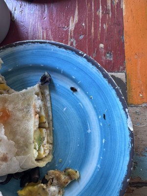 PLG Coffee House and Tavern by null