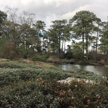 Japanese Garden - Botanical Gardens Near Me - Houston, Texas
