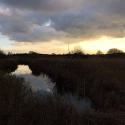London Wetland Centre - Dusk on the wild side path