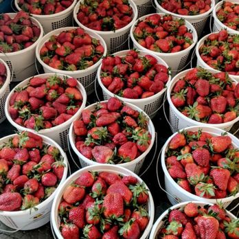 Tarheel Produce - Fresh Strawberries - Farmers Market Near Me - Grandy, North Carolina Tarheel Produce - Fresh Strawberries - Farmers Market Near Me - Grandy, North Carolina