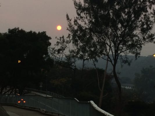 Kam Shan Country Park by null