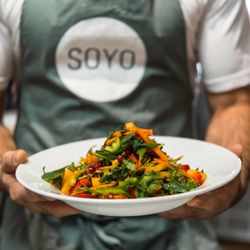 SoYo - Large salad