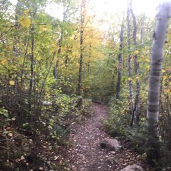 Kawishiwi Falls Trail