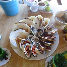 Oysters, all types of oysters. Oysters, all types of oysters.