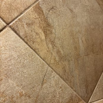 Hotel Vista Del Mar - Someone else's hair in the shower. They didn't clean it even when we told them about it. - Hotels Near Me - Avalon, California Hotel Vista Del Mar - Someone else's hair in the shower. They didn't clean it even when we told them about it. - Hotels Near Me - Avalon, California