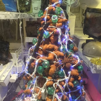 Robolights - Turd tree - Art Galleries Near Me - Palm Springs, California Robolights - Turd tree - Art Galleries Near Me - Palm Springs, California