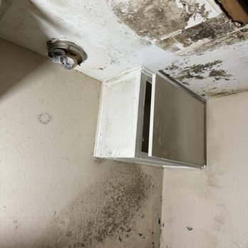 Magic Brush Services - Painters Near Me