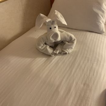 Carnival Cruise Line - On the Carnival splendor 2019 Hawaii trip - Transportation Near Me - Van Nuys, California