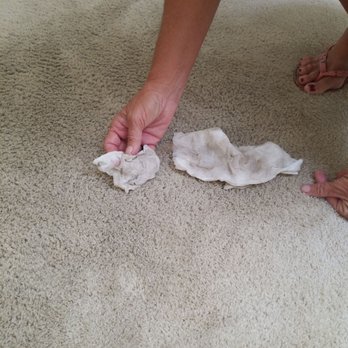 Steamin Deemin Carpet Cleanin - Carpet Cleaning Near Me - Brooksville, Florida