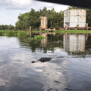 Ultimate Swamp Adventures - Tours Near Me - Westwego, Louisiana Ultimate Swamp Adventures - Tours Near Me - Westwego, Louisiana