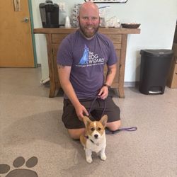 Sarasota Dog Wizard - Trainer/Manager Josh and Killer Corgi "Ginger"