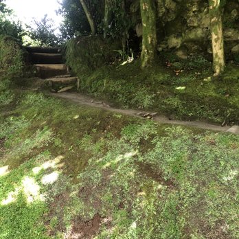 Parque Terra Nostra - Parks Near Me - Furnas, 20