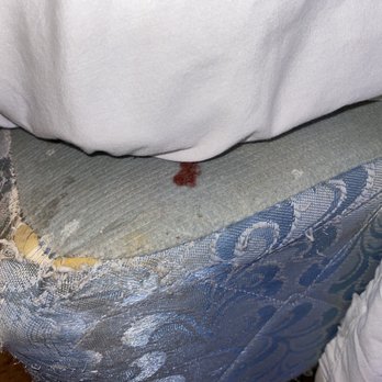 Ridge Motor Inn - Blood on bed. Shape of bed - Hotels Near Me - Portage, Wisconsin Ridge Motor Inn - Blood on bed. Shape of bed - Hotels Near Me - Portage, Wisconsin