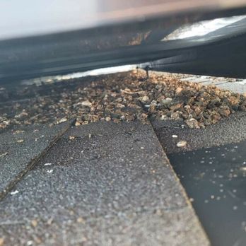 Prosol Solar Panel Cleaning & Pigeon Control - Solar Panel Cleaning Near Me Prosol Solar Panel Cleaning & Pigeon Control - Solar Panel Cleaning Near Me