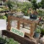 Photo of Skillin's Greenhouses