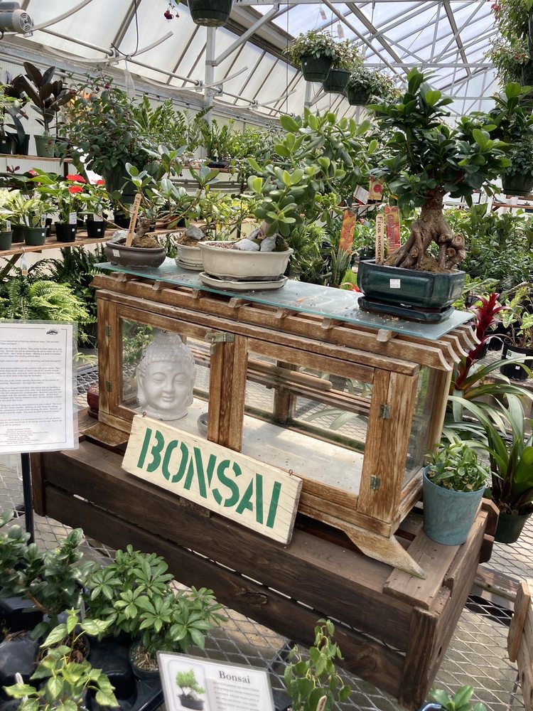 SKILLIN’S GREENHOUSES Updated September 2024 22 Photos 422 Bath