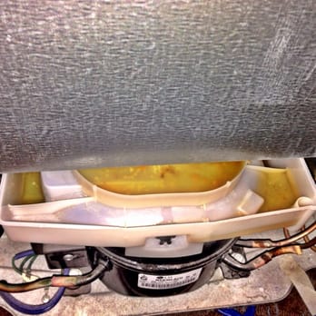 Wingate By Wyndham - Nasty fridge pic 2. Odor was like a dead animal and permeated the entire room. - Hotels Near Me - Mobile, Alabama Wingate By Wyndham - Nasty fridge pic 2. Odor was like a dead animal and permeated the entire room. - Hotels Near Me - Mobile, Alabama