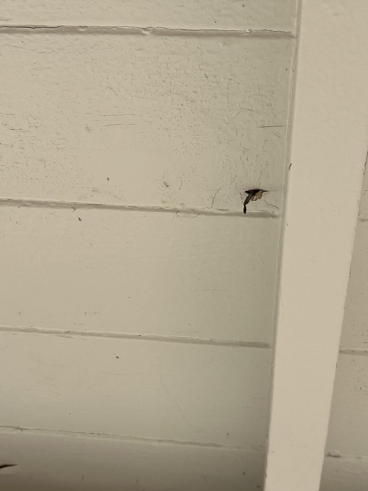 Slide of Golden State Roofing