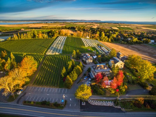 Domaine de Grand Pré by null