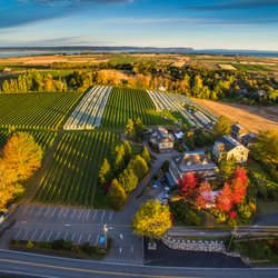 Domaine de Grand Pré - Grand Pre Winery 2018