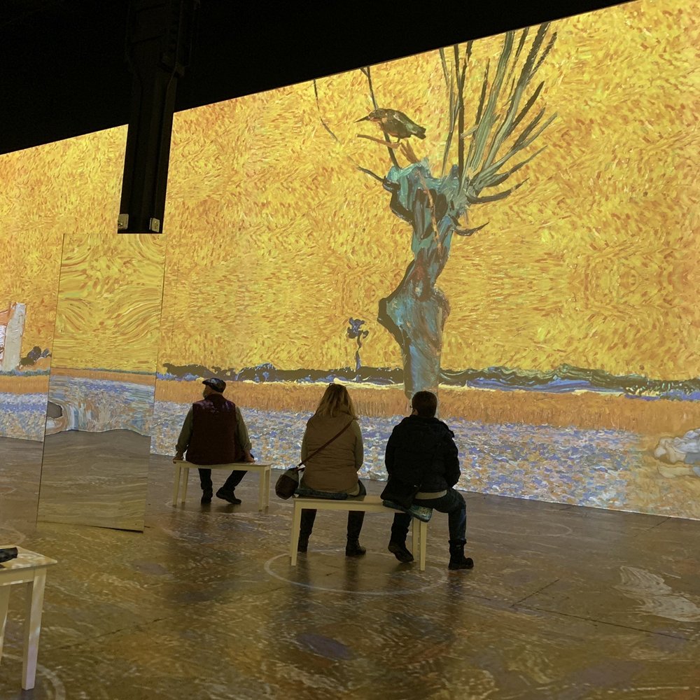 Immersive Van Gogh Exhibit - Art Museums Near Me - Cleveland, Ohio