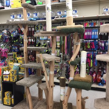 mini pet mart near me