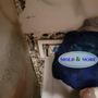 Mold & More