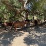 Photo of Poly Canyon Trail