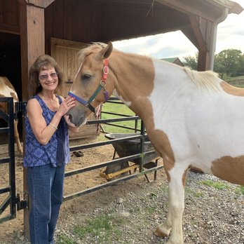 Creekside Resort - My mom petting a horse - Resorts Near Me - Clearville, Pennsylvania