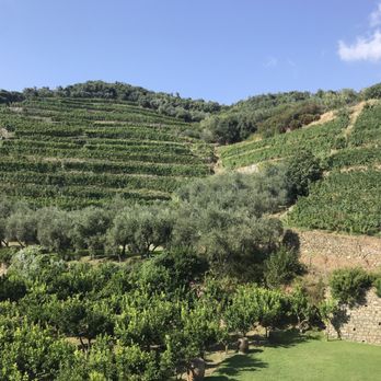 Buranco - Wineries Near Me - Monterosso Al Mare, SP
