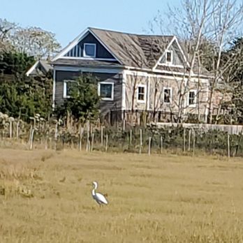 Revolution Rail - Egret gazing - Bike tours Near Me - Cape May, New Jersey