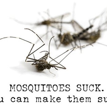 Tactic Pest Control - Pest Control Near Me Tactic Pest Control - Pest Control Near Me