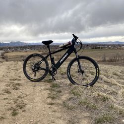 Pedego Electric Bikes Boulder - Riding to work and saving money on gas!