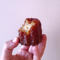La Toque Cuivrée - MIAM !